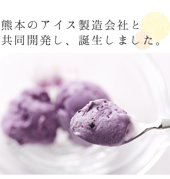熊本のアイス製造会社と開発し、誕生しました。