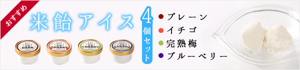 米飴アイス 4個セット